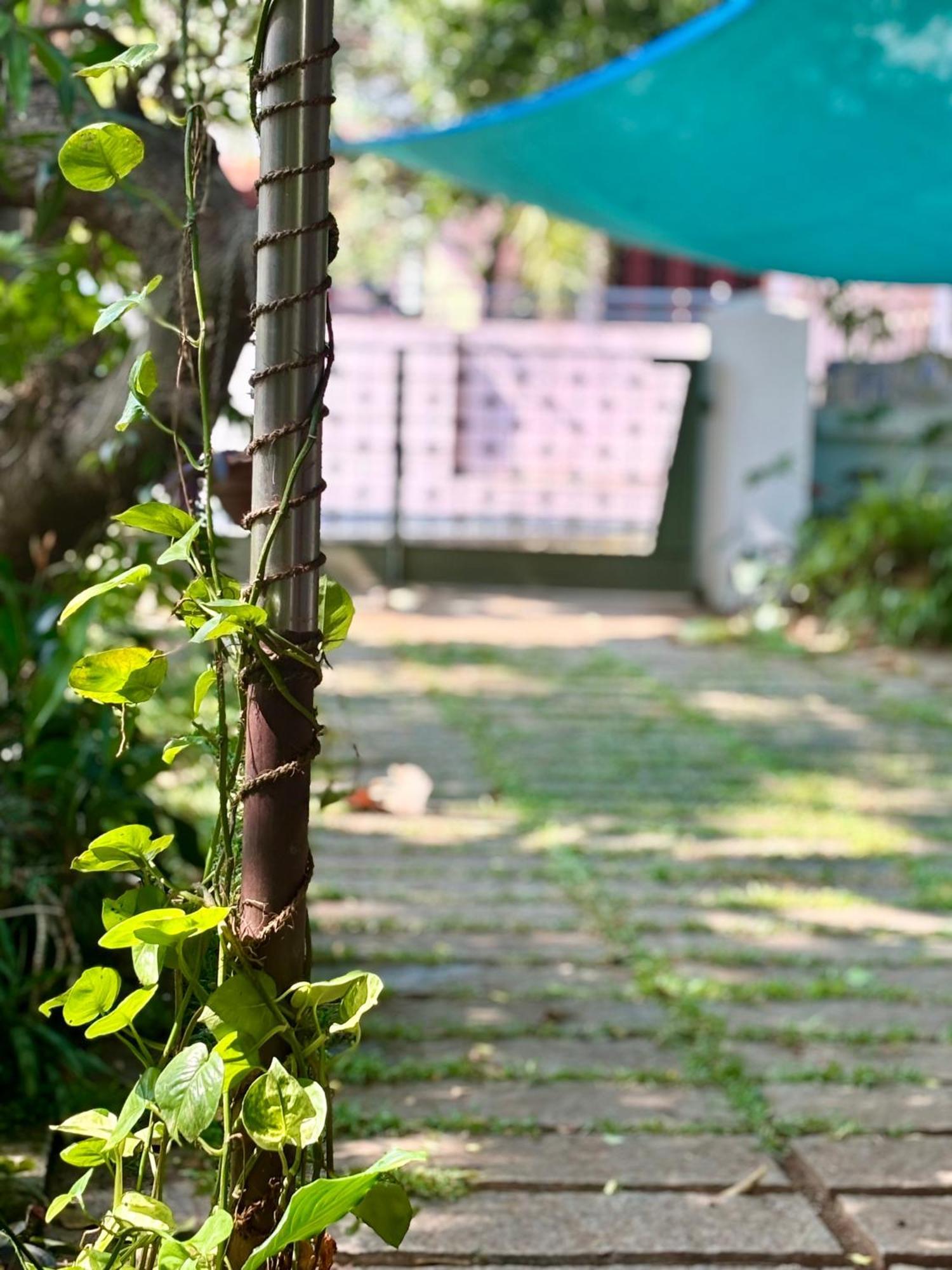 Gloria Homestay ,Thrissur Exterior photo